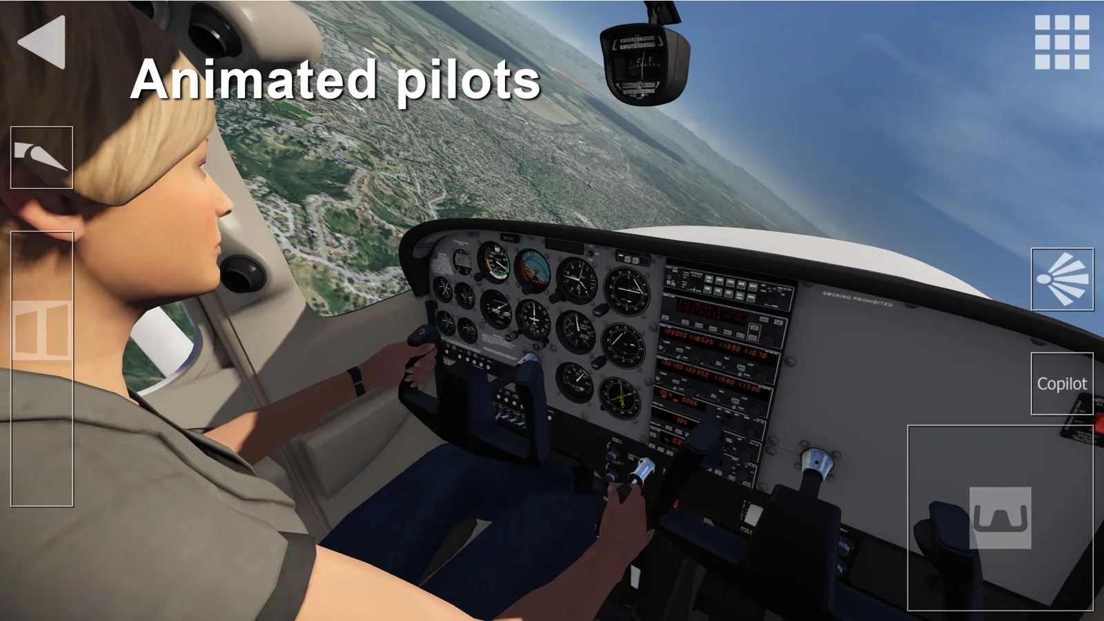 Aerofly FS Global screenshot 1