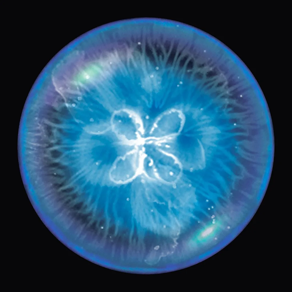 Osmos App Store icon